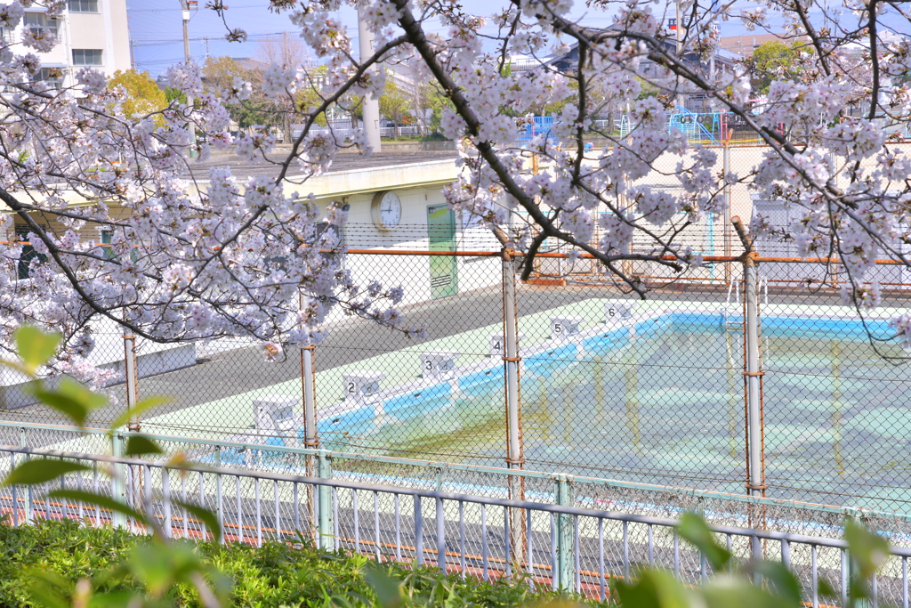 夏になるまで…
