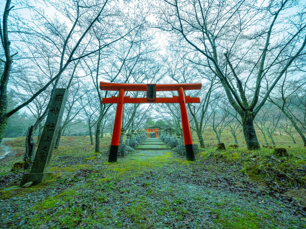 山中の社