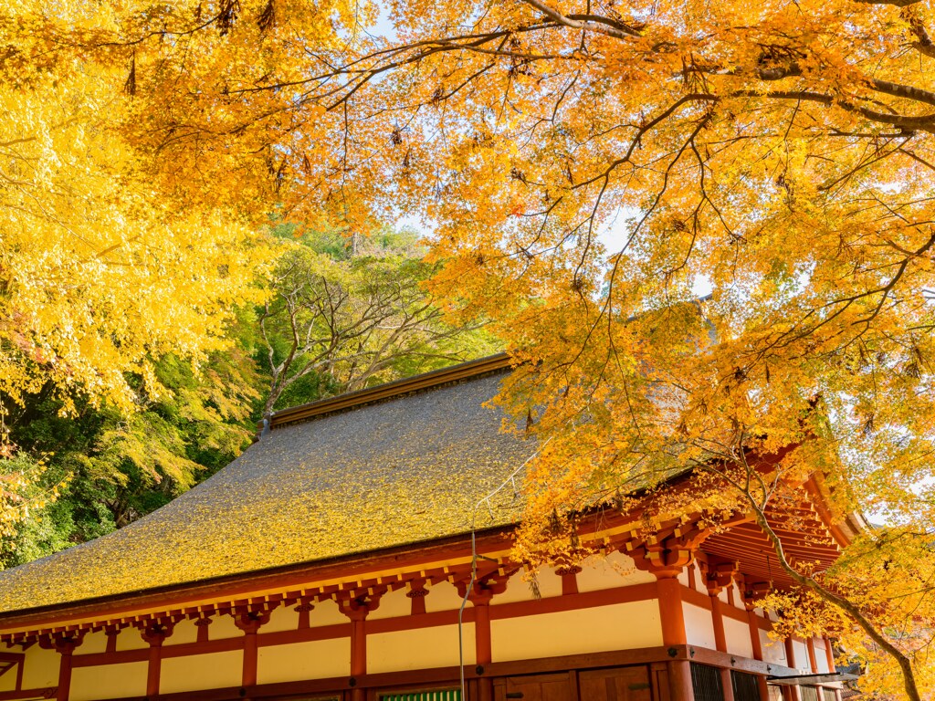 談山神社③