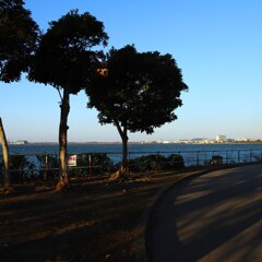 IMG_20191216_113429_104