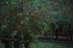 皇居　６