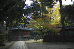 神社と紅葉