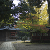 神社と紅葉