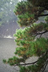 皇居　１０