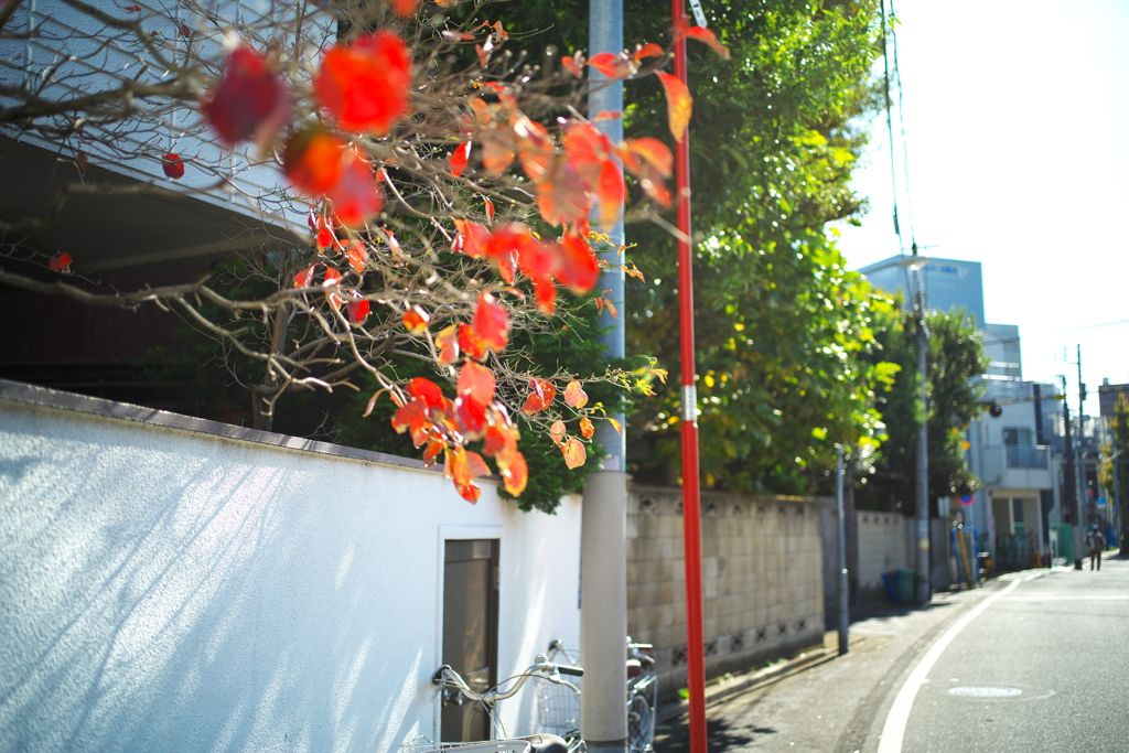 下町の秋