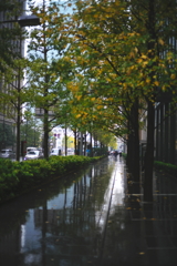 雨の丸の内