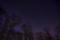 冬の星空・裏磐梯１