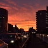 橋の上の夕景