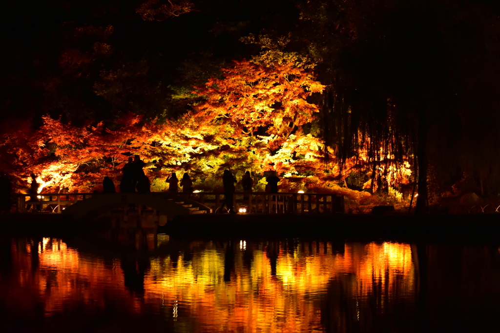 紅葉を楽しむ人たち