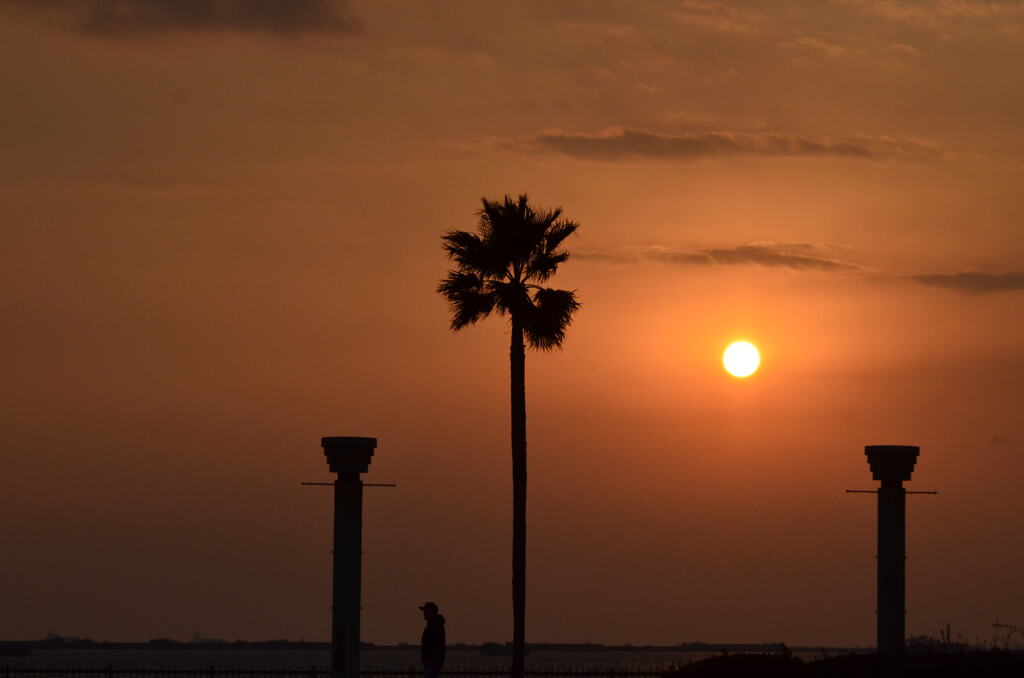 鳴尾浜
