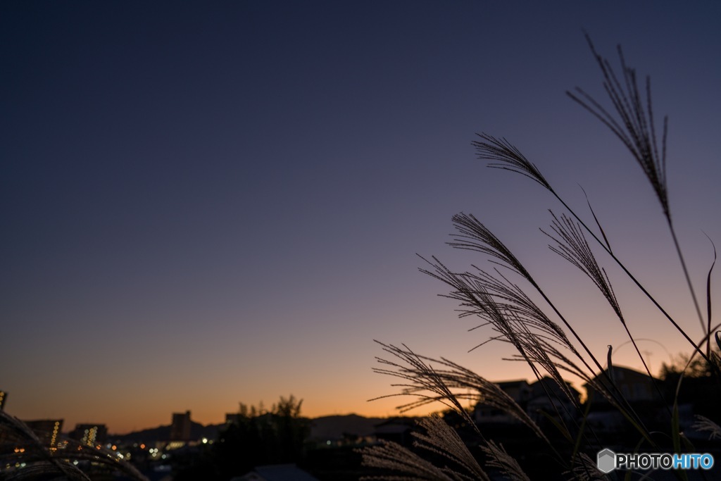 秋の夕暮れ
