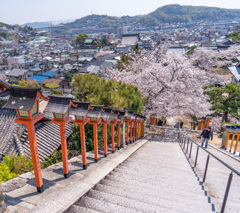 春到来