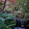 R0003362