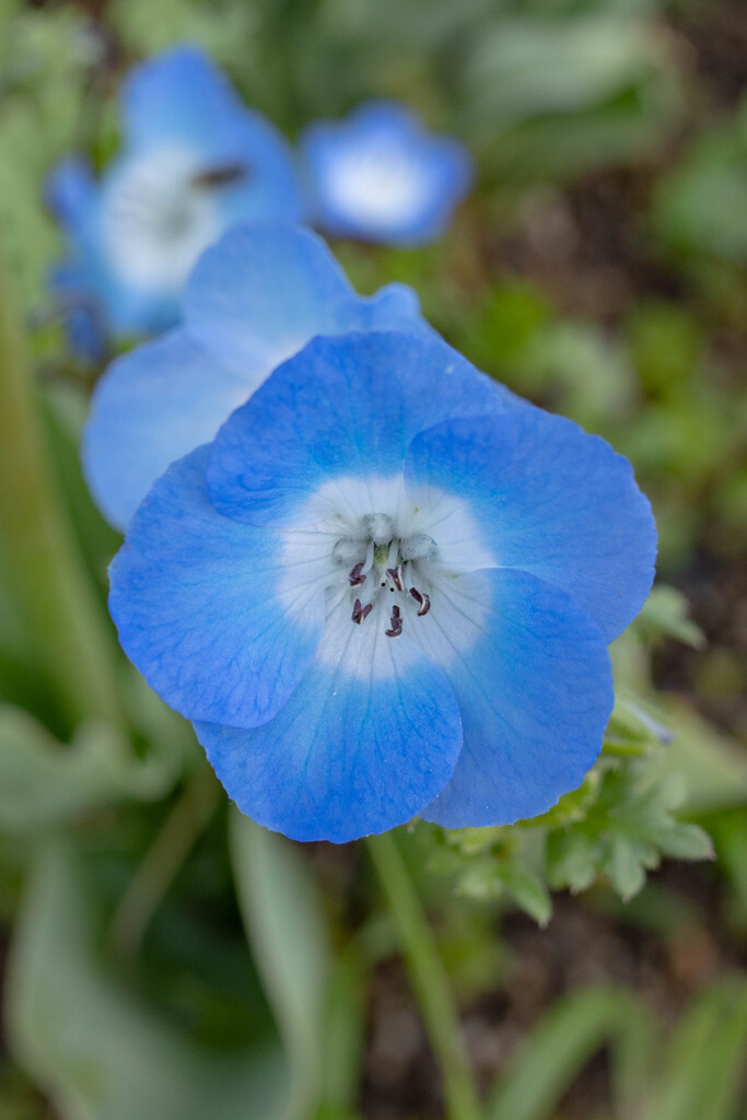 R0000082