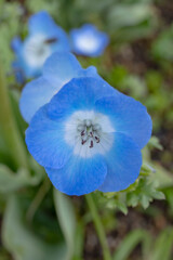 R0000082