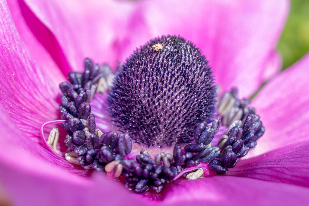 R0000105