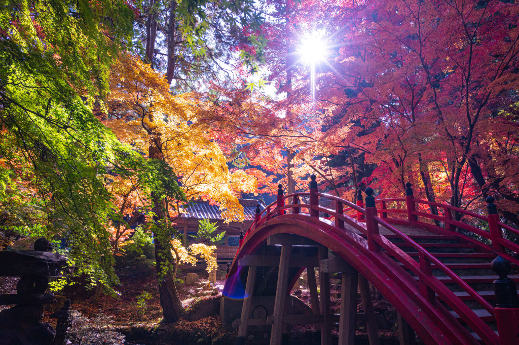 紅葉