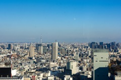 東京都庁展望室からの眺め