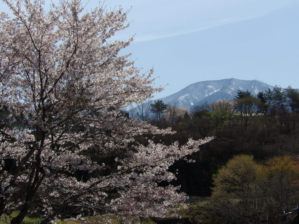 IMGP0010