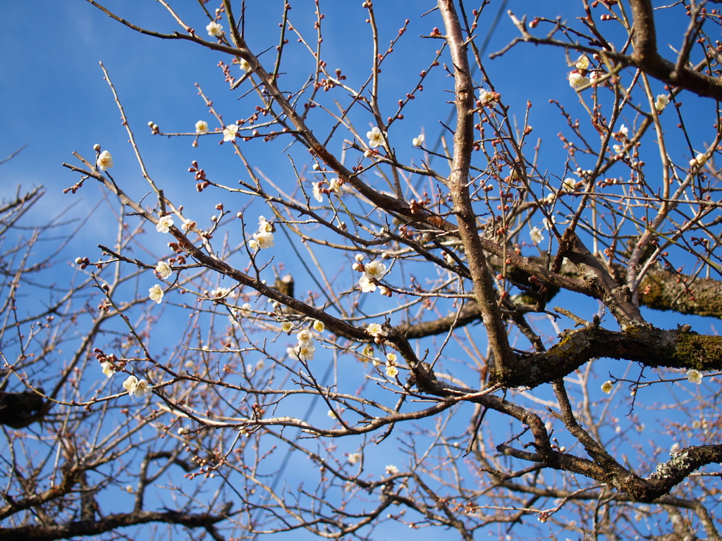 P2058961