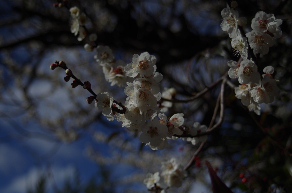 IMGP0845