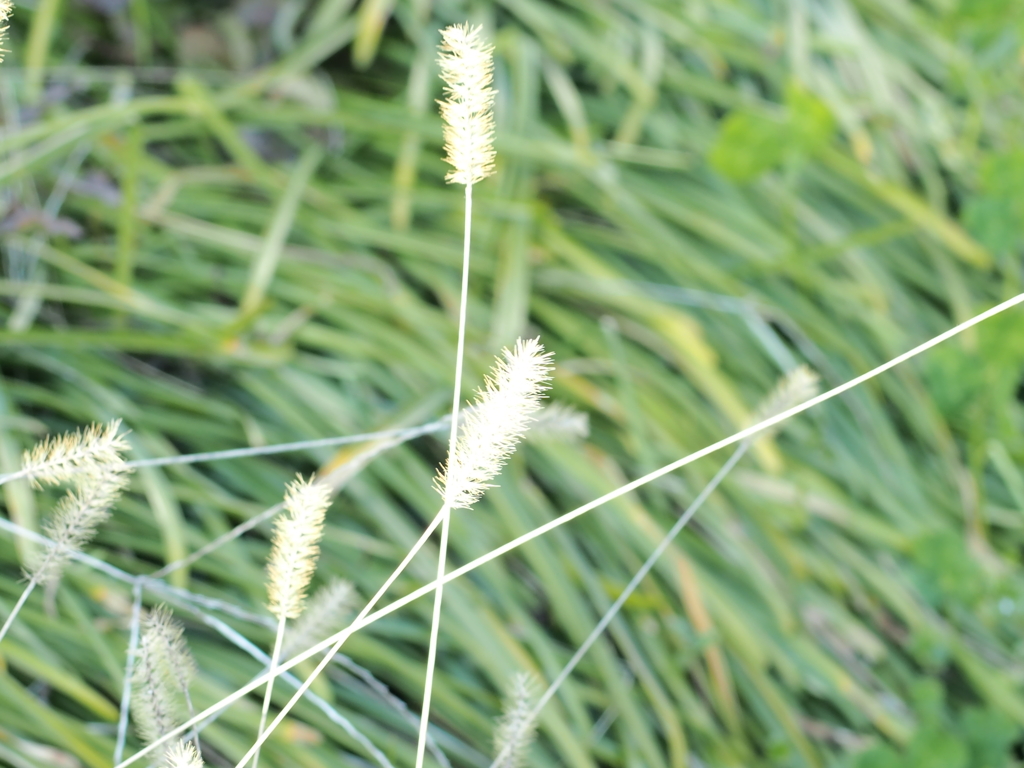 P3260146