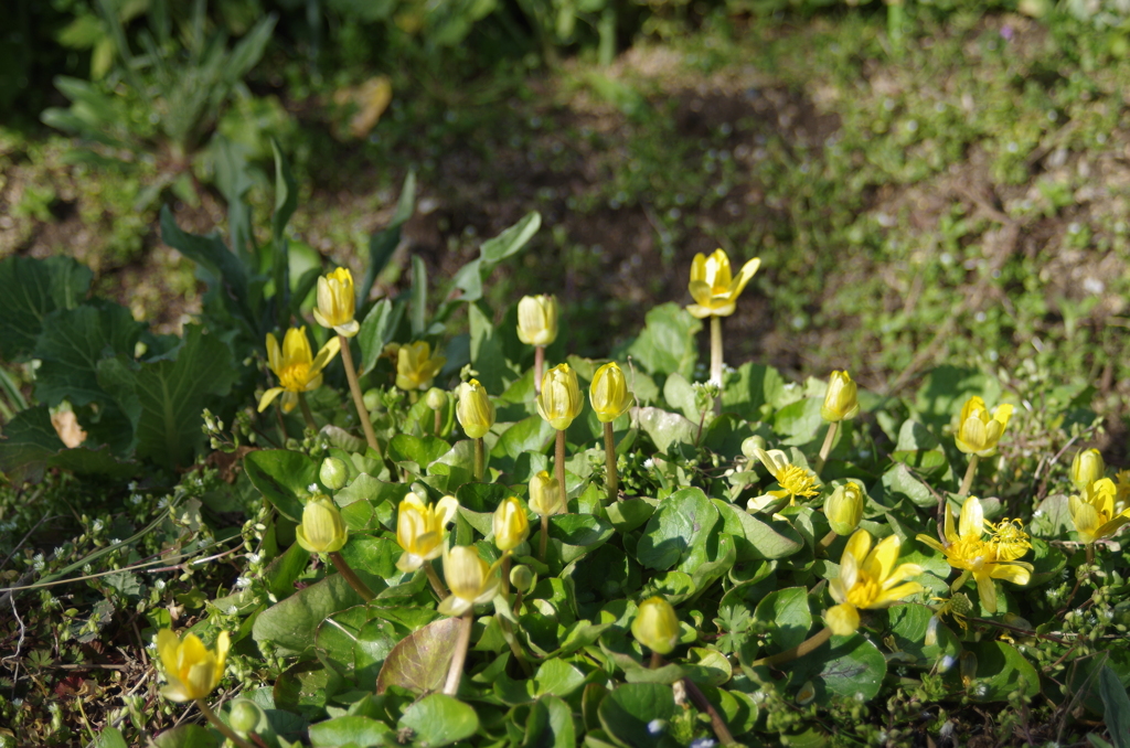 IMGP0834