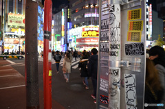 DSC_8491