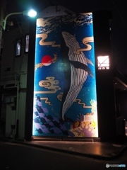 shibuya