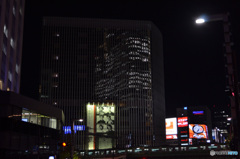DSC_8422