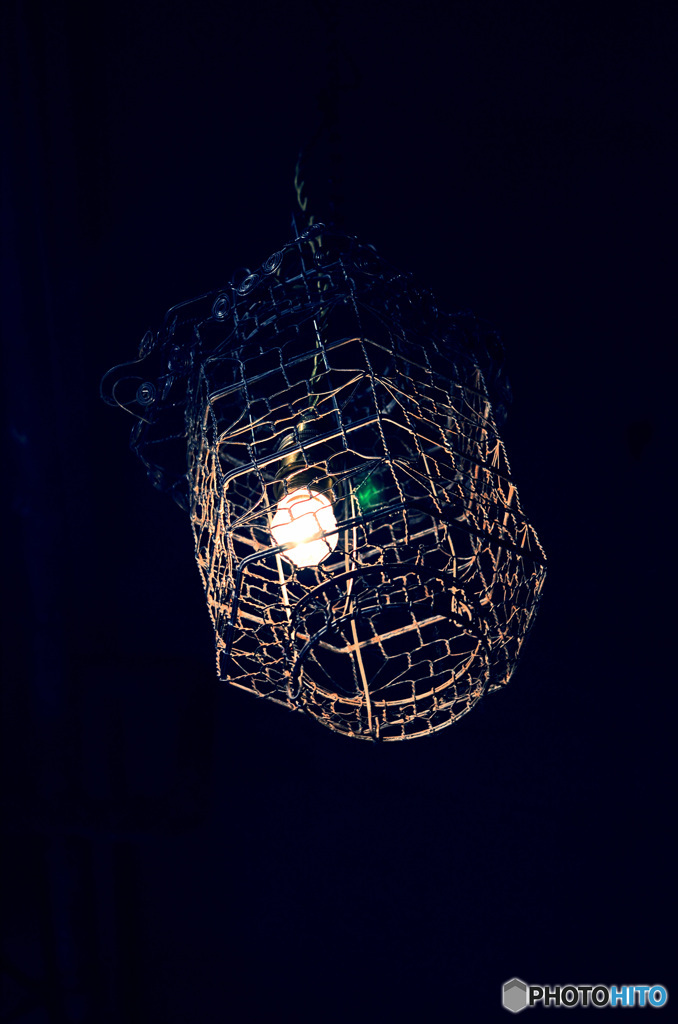 DSC_8511_01