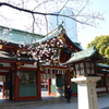 日枝神社と桜さん