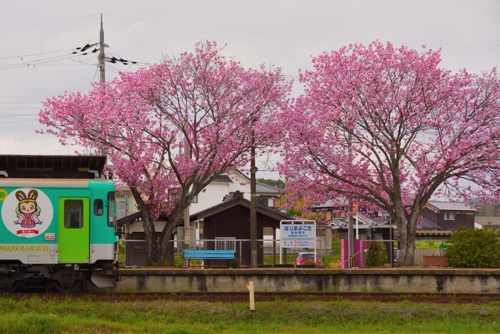 播磨横田駅にて