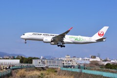 飛行機ファン注目の的