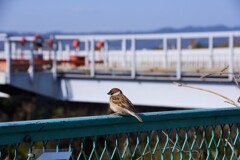 離陸待ち