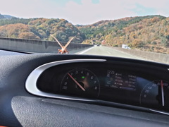 で、はしゃぐんかい！