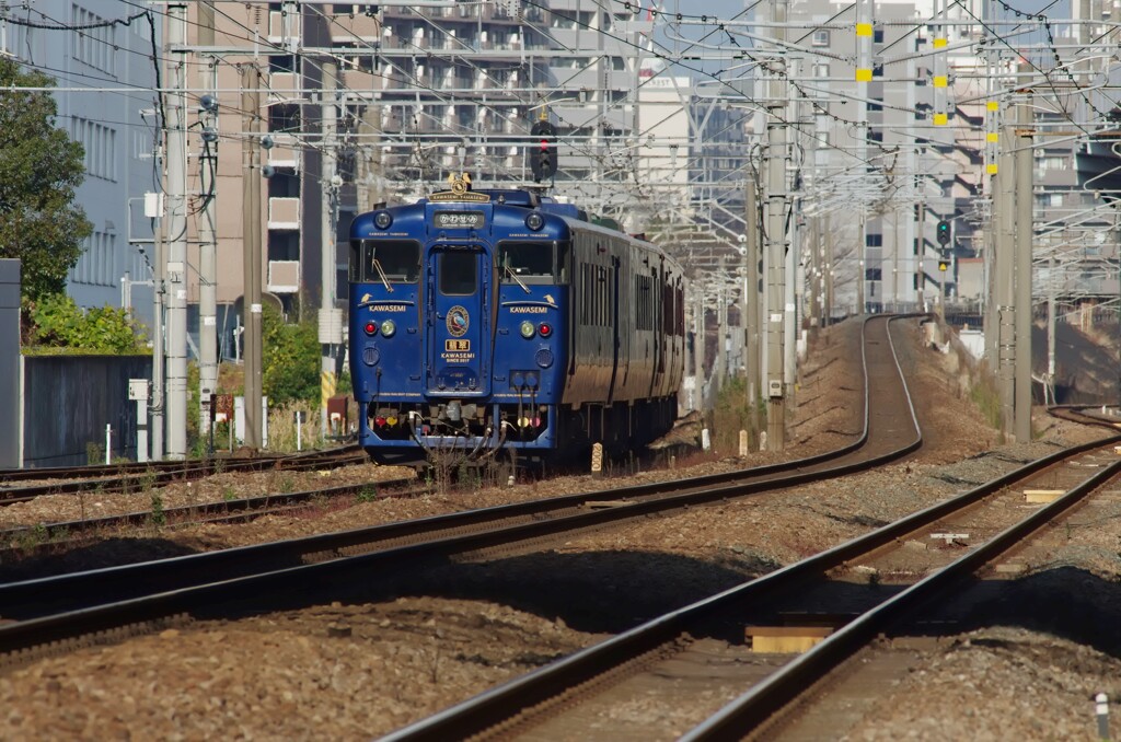 かわせみやませみ・いさぶろうしんぺい