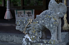 嬉野市の狛犬２