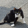 まだ警戒されています。