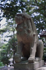志賀神社狛犬　吽