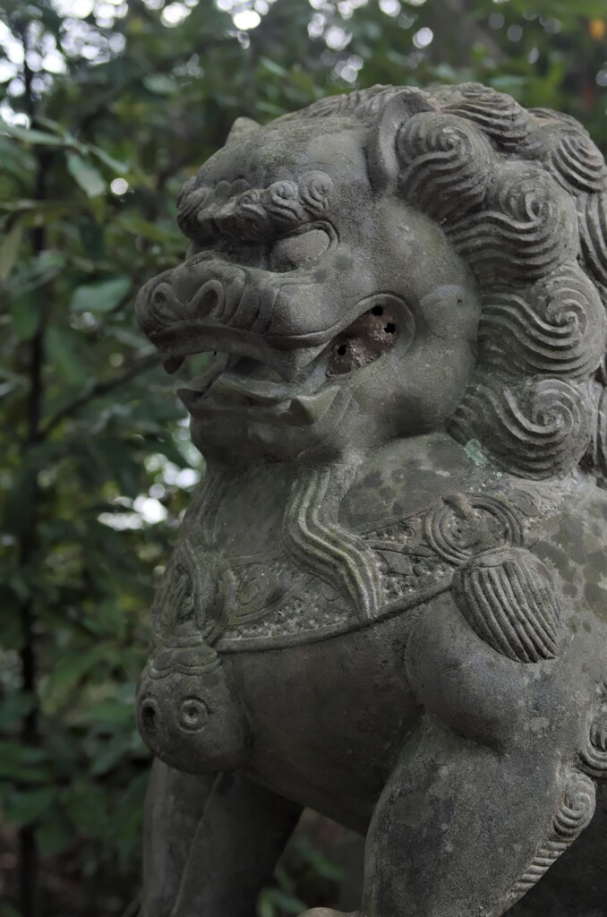 筑紫神社