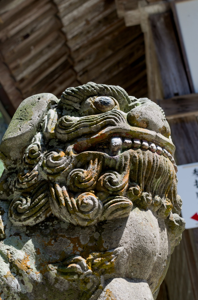 桜井神社の狛犬