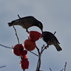 問答無用３－２