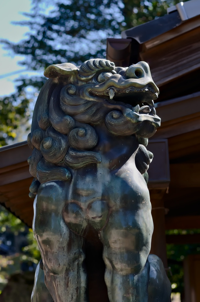 銅製狛犬３