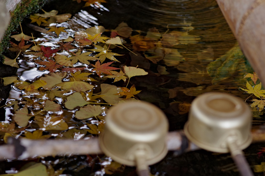 古刹の手水舎