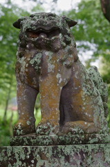狛犬