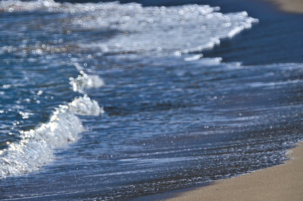 浜辺