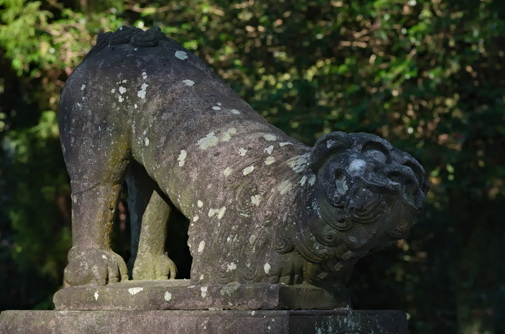 狛犬（吽）