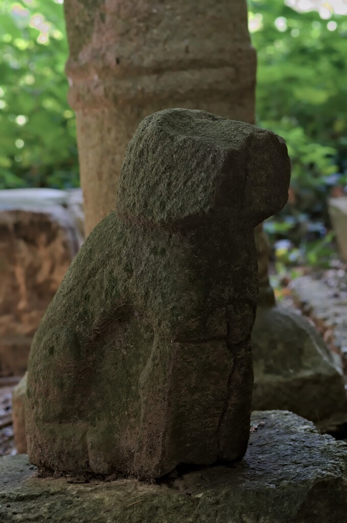 狛犬1