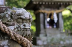佐賀県　武雄神社狛犬